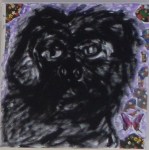 SAMSUNG CAMERA PICTURES